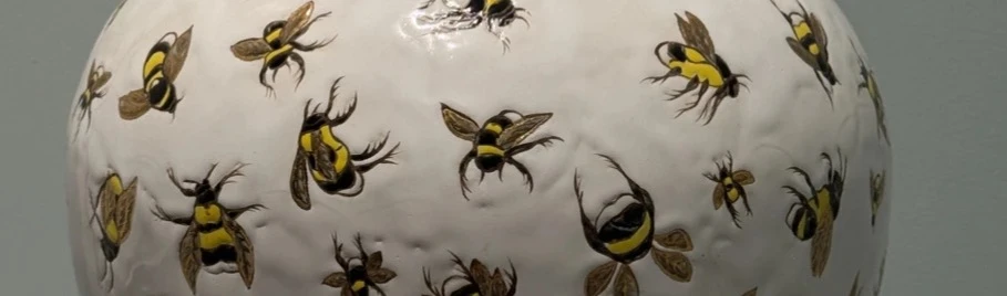 Находки недели