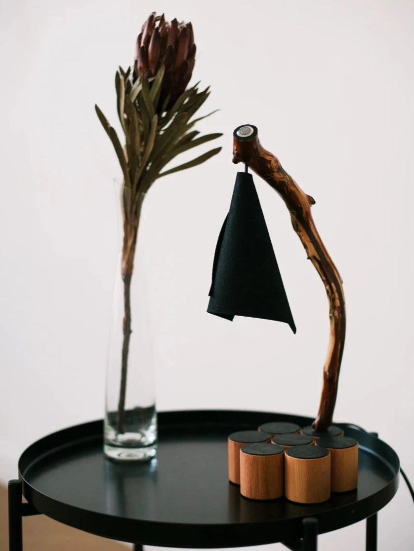 Биофильный дизайн 2.0: интеграция природы в дом