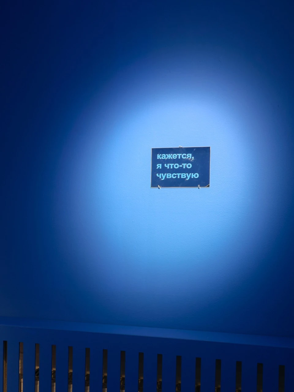 Выставка Кати Рыбловой «Не слишком ли уединенно? Нет, достаточно»