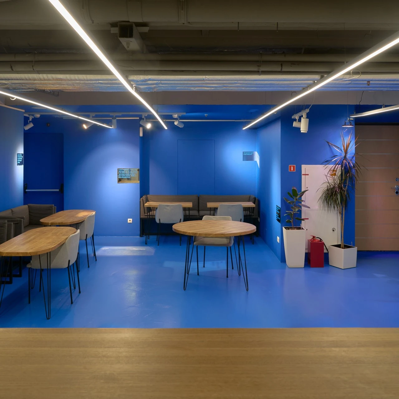 Выставка Кати Рыбловой «Не слишком ли уединенно? Нет, достаточно»