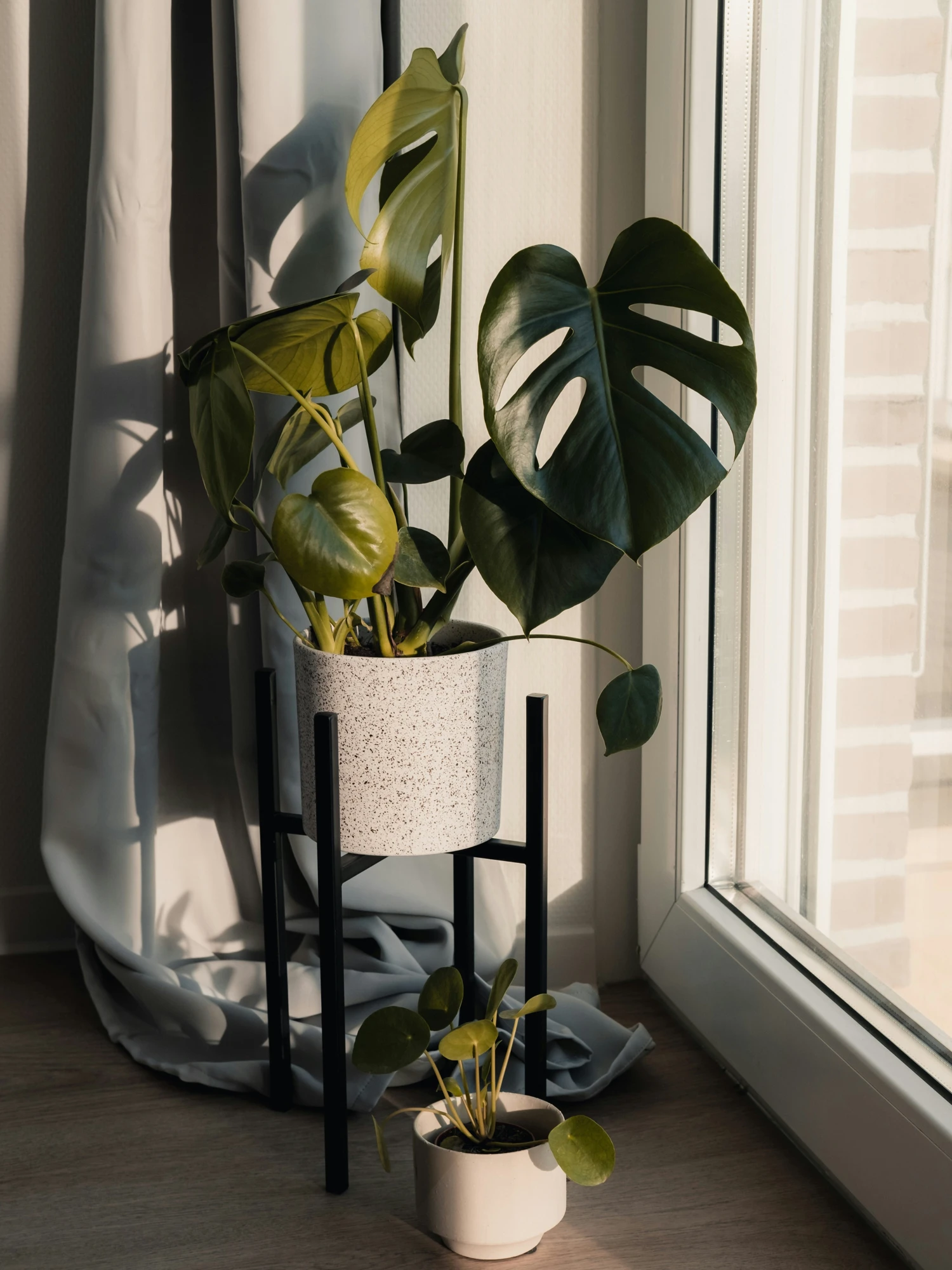 Биофильный дизайн: растения и искусство для свежего интерьера весной