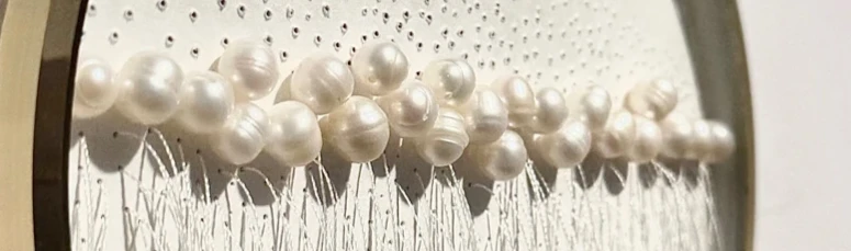 Тихая красота: декор свадебного стола